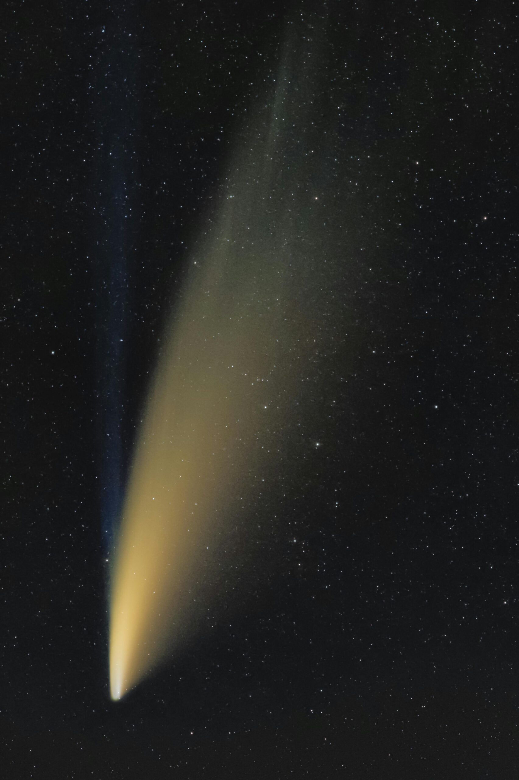 A stunning comet streaks across a star-filled night sky, capturing celestial beauty.